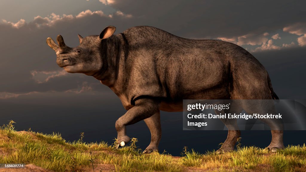 A Brontotherium walking atop a grassy hill.