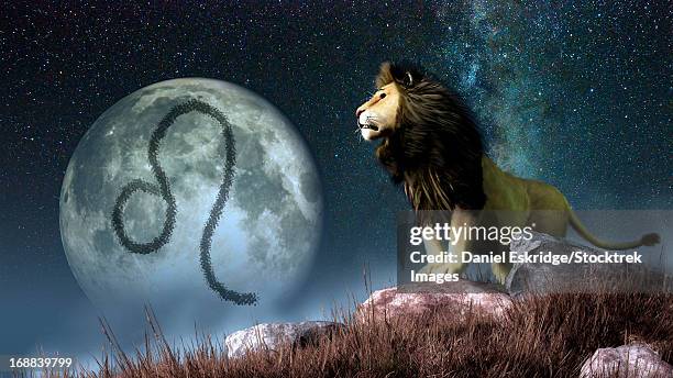 leo is the fifth astrological sign of the zodiac. its symbol is the lion. - bestimmtheit stock-grafiken, -clipart, -cartoons und -symbole