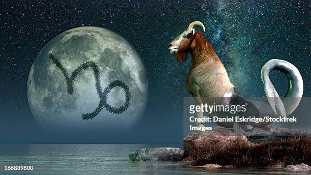 ilustraciones, imágenes clip art, dibujos animados e iconos de stock de capricorn is the tenth astrological sign of the zodiac. its symbol is the sea goat. - improvisar