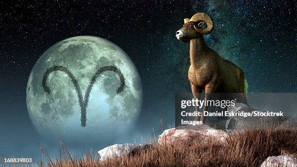 aries is the first astrological sign of the zodiac.  its symbol is the ram. - impatient stock illustrations