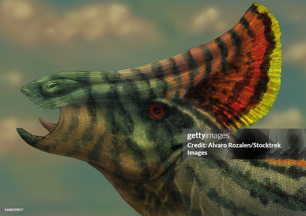 Olorotitan dinosaur portrait.