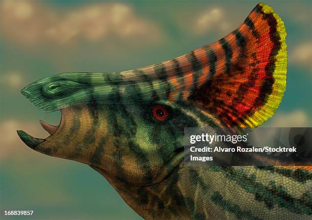 Olorotitan Dinosaur Portrait, Foto de stock