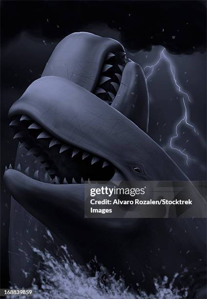 Two Male Livyatan Whales Fighting For The Right To Mate High-Res Vector Graphic