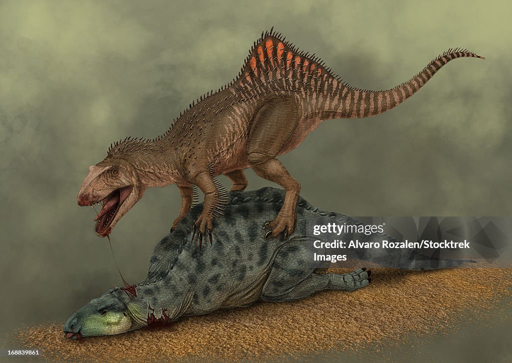 A Concavenator kills a young iguanodon, jumping on his back and breaking his neck.