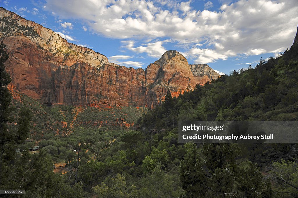 The Hills of Zion