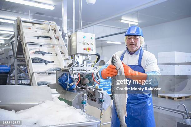 portrait of worker in food factory holding fresh salmon next to machinery - crushed ice stock pictures, royalty-free photos & images