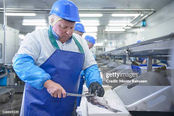 Production Line Of Workers Filleting Fish In Food Factory, Foto de stock