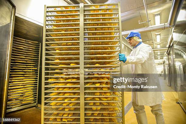 Worker preparing haddock fish for smoking in food factory