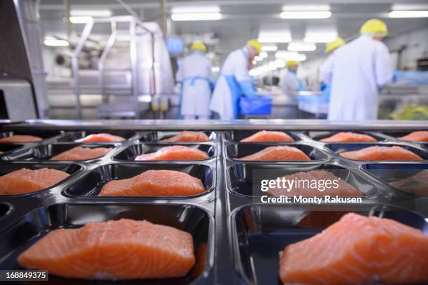 Salmon fillets on packaging in foreground of busy food factory