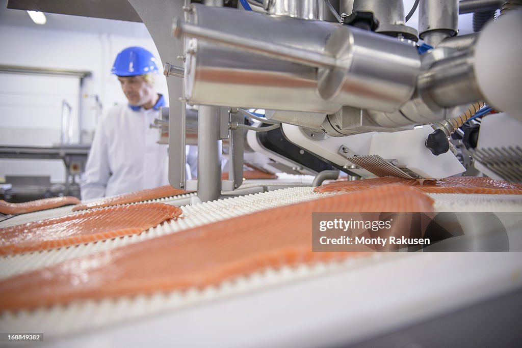 Worker in food factory with salmon filleting machine