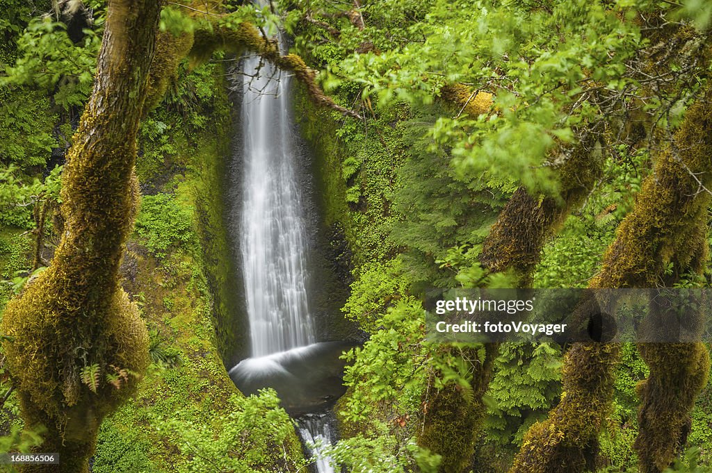 Oregon Eagle Creek trail waterfall Cascades USA