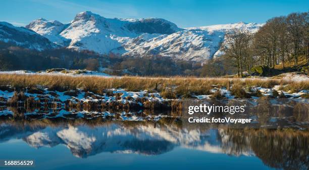 lake district snowy mountain peaks reflecting in tarn cumbria - ambleside stock pictures, royalty-free photos & images