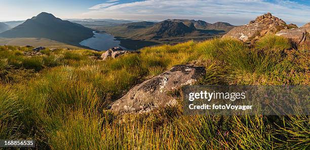 highland heather mountains idyllic dawn wilderness scotland - a ross stock pictures, royalty-free photos & images