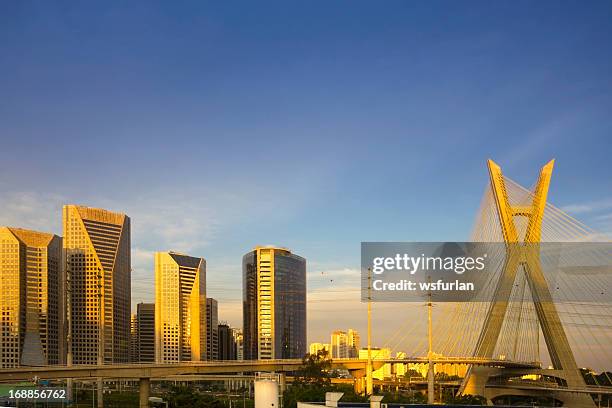 celebre ponte sostenuto da cavi sao paulo city. - ponte sostenuto da cavi foto e immagini stock