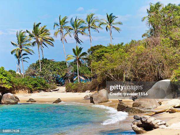 tayrona national park, colombia - magdalena department colombia stock pictures, royalty-free photos & images