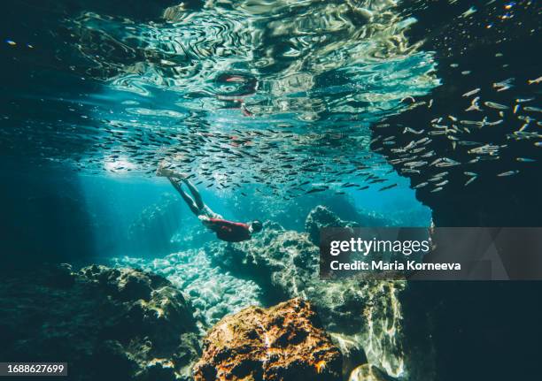 a man swims underwater among fish in the sea. - mediterranean climate stock pictures, royalty-free photos & images