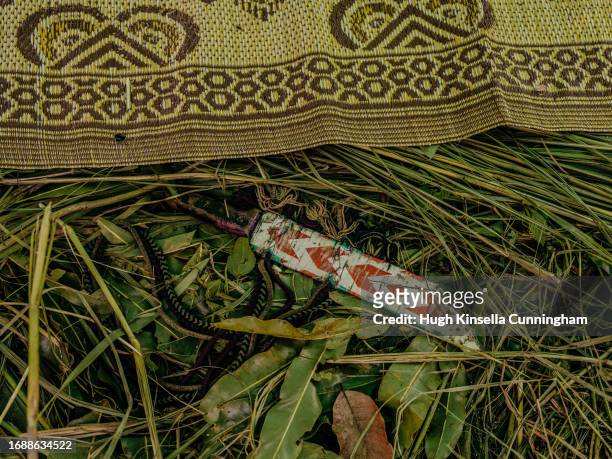 Detail in a campsite of a group of nomadic herders from Chad is seen on September 20, 2023 in Niangara, Congo. Tensions between local Congolese...