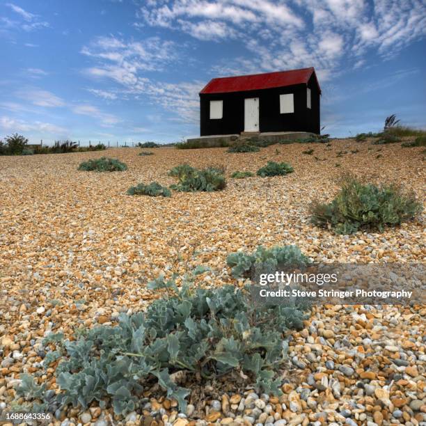 red-roofed fisherman's hut at rye harbour - east sussex stock pictures, royalty-free photos & images