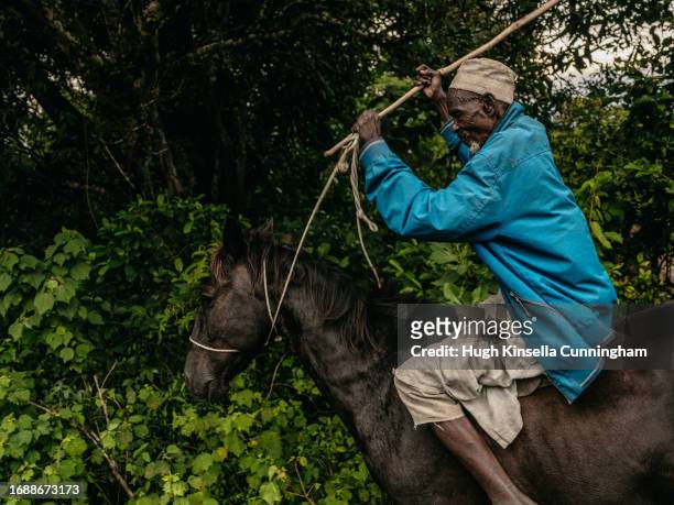 El Hadji, a member of a nomadic group from Chad rides his horse through jungle tracks on September 21, 2023 in Niangara, Congo. Tensions between...