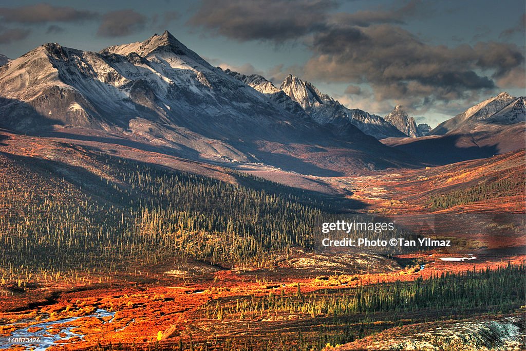 Autumn in the Yukon