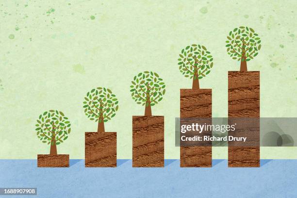 a rising bar graph with trees - money tree stock pictures, royalty-free photos & images