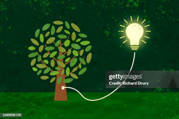 a lightbulb plugged into a tree - green energy icons stock pictures, royalty-free photos & images