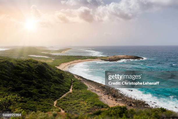 cape of castles, cape of hummingbirds, guadeloupe, france - guadeloupe stock-fotos und bilder