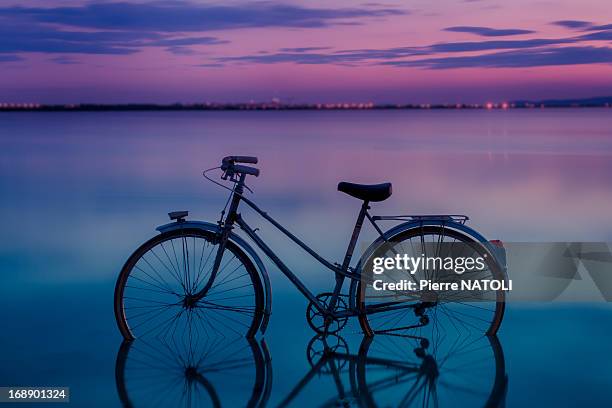 andare in bicicletta - bicicletta bildbanksfoton och bilder