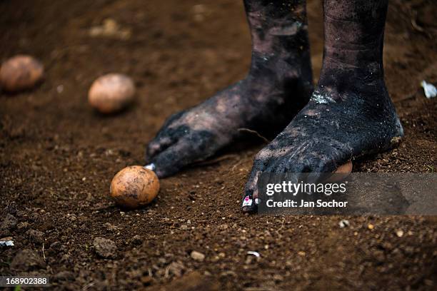 Diana R., who claims to be possessed by spirits, steps on eggs during a ritual of exorcism performed by Hermes Cifuentes on 28 May 2012 in La Cumbre,...