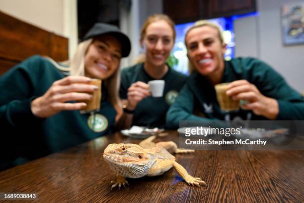 Budapest , Hungary - 25 September 2023; Republic of Ireland players, from left, Denise O'Sullivan, Megan Connolly and Savannah McCarthy with a...