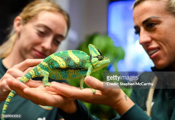 Budapest , Hungary - 25 September 2023; Republic of Ireland's Savannah McCarthy, right, and Megan Connolly with Flash, a chameleon, at Zoo Café in...