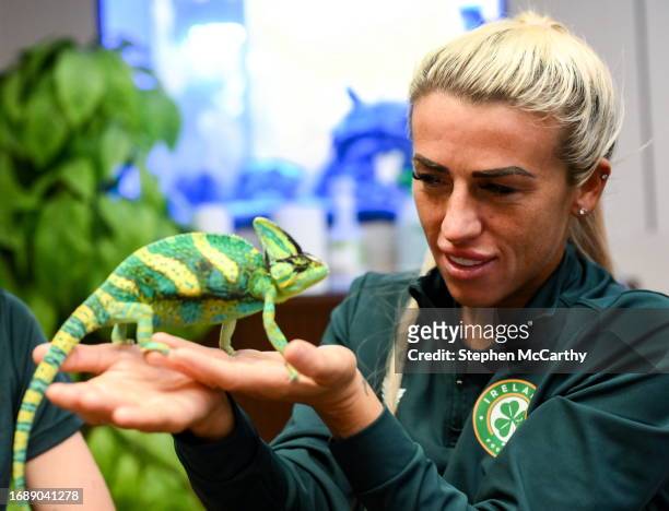 Budapest , Hungary - 25 September 2023; Republic of Ireland's Savannah McCarthy with Flash, a chameleon, at Zoo Café in Budapest, Hungary, during...