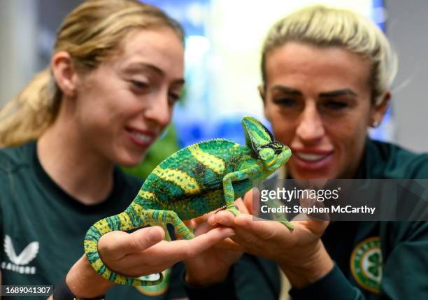Budapest , Hungary - 25 September 2023; Republic of Ireland's Savannah McCarthy, right, and Megan Connolly with Flash, a chameleon, at Zoo Café in...