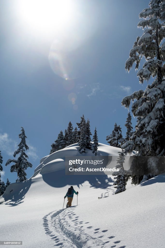 Snowboard backcountry donna