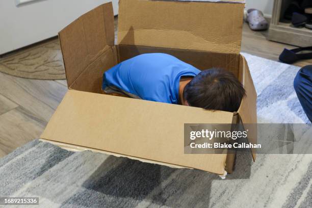 Hiding In Box 234 Kid Hiding In Box Stock Photos, High-Res Pictures, and Images ...