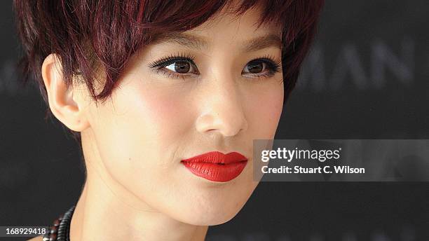 Eva Huang attends the 'Iceman Cometh 3D' Photocall and Press conference at the 66th Annual Cannes Film Festival on May 17, 2013 in Cannes, France.