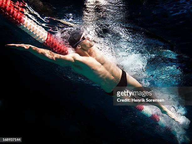professional swimmer - solo un uomo foto e immagini stock