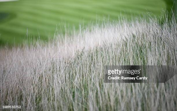 Rome , Italy - 25 September 2023; A general view of of the rough on the 12th hole before the 2023 Ryder Cup at Marco Simone Golf and Country Club in...