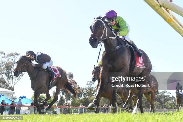 Larry Of Arabia ridden by Christine Puls wins the Haven General Store 4YO+ Maiden Plate at Horsham Racecourse on September 26, 2023 in Horsham,...
