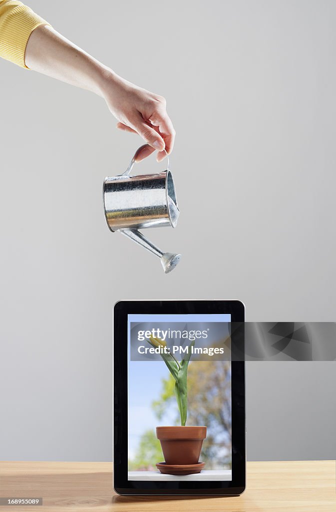 Watering flower on digital tablet