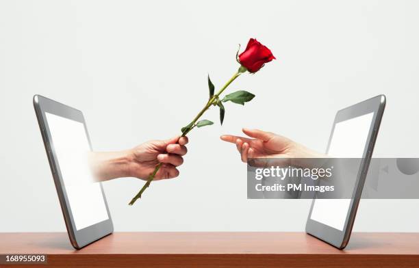 digital romance - woman giving flowers stock-fotos und bilder