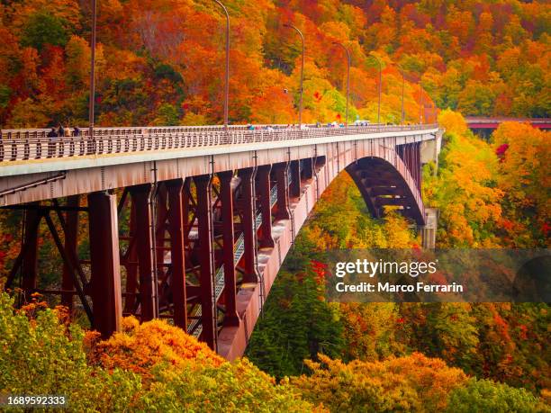 a large bridge spanning a valley with beautiful autumn leaves - region tohoku stock-fotos und bilder