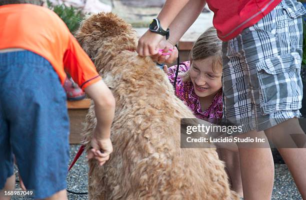 16 Animal Specialty Group Inc Photos and Premium High Res Pictures - Getty Images 16 Animal Specialty Group Inc Photos and Premium High Res Pictures - Getty Images
