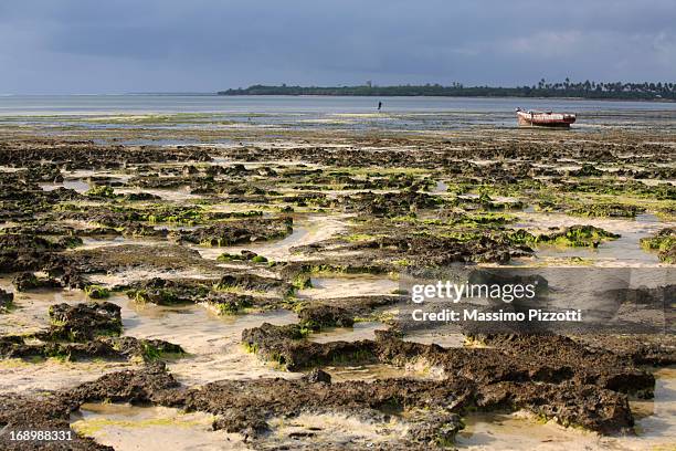 fisherman's boat in the low tide at zanzibar - tidenhub stock-fotos und bilder