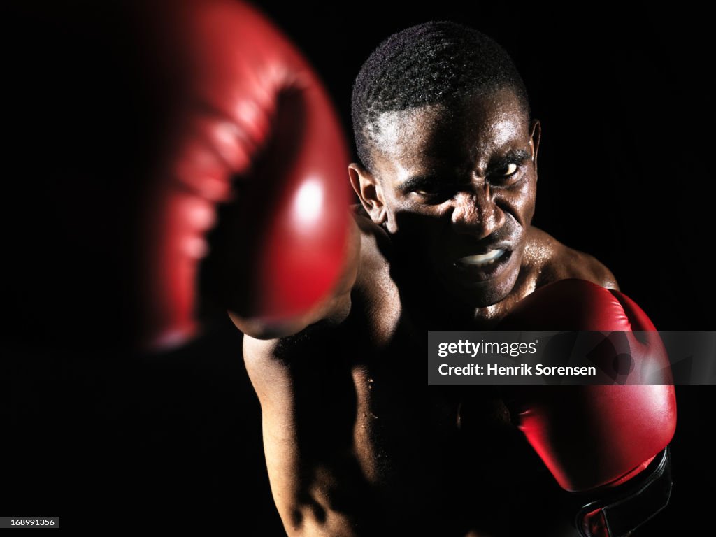 Boxer punching