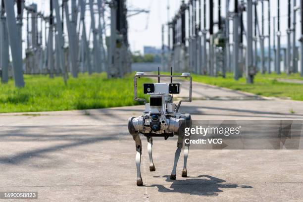 Robotic dog inspects 500-kV transformer substation on September 18, 2023 in Nanjing, Jiangsu Province of China.