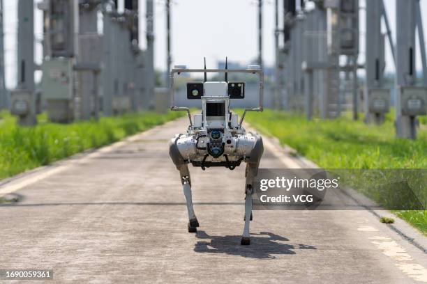 Robotic dog inspects 500-kV transformer substation on September 18, 2023 in Nanjing, Jiangsu Province of China.