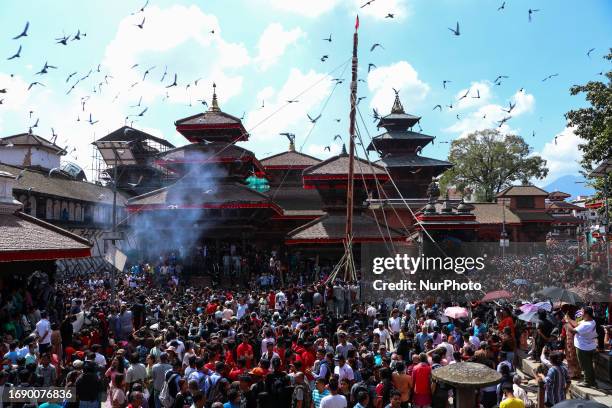 Nepali Hindu Devotees erects sacred pole locally called ''Ya:Shi'' marking the formal start of Indra Jatra, a fair dedicated to Hindu God of Rain...