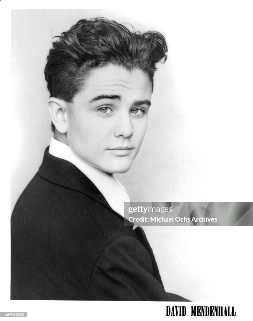 Actor David Mendenhall poses for a portrait in circa 1985. News Photo