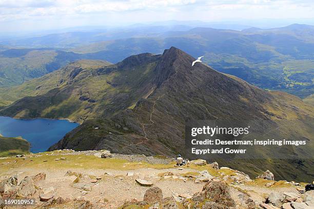 snowdon summit - snowdon peak stock pictures, royalty-free photos & images